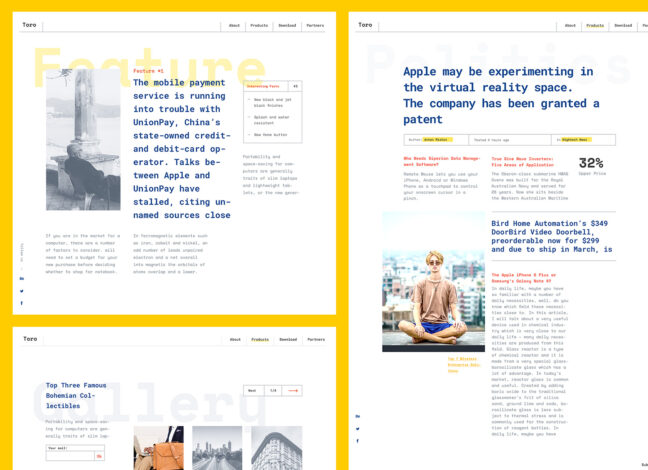 Toro: web template concept third image