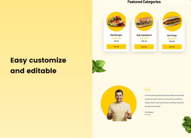 Fast Food Burger Landing Page