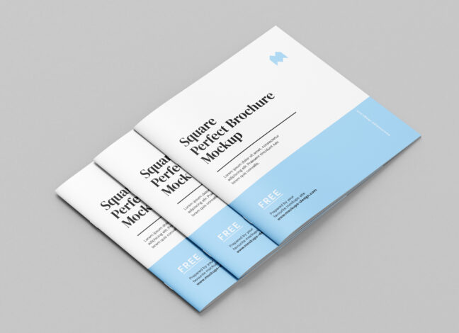 Slim Square Brochure Mockup