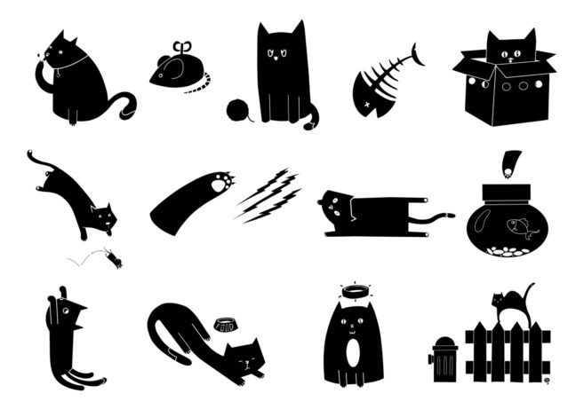 Cats Procreate Stamp Brushes