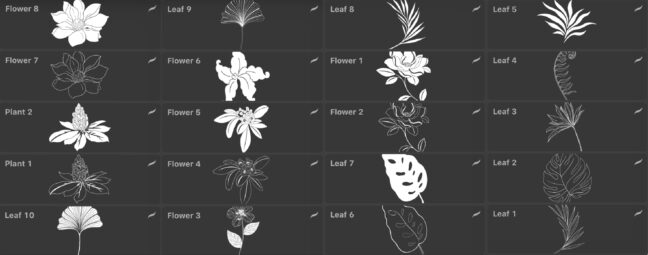 leaves flowers procreate brushes 1 Leaves & Flowers Procreate Brushes