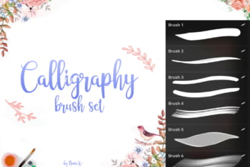 Calligraphy Lettering Procreate Brushes