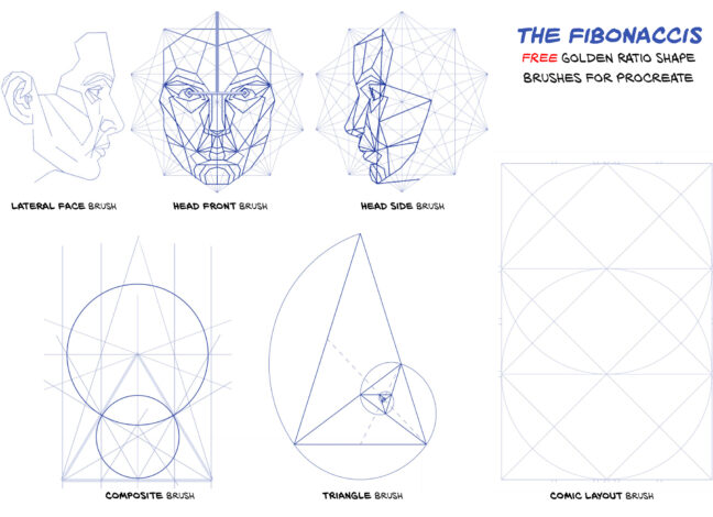Golden Ratio Procreate Brushes