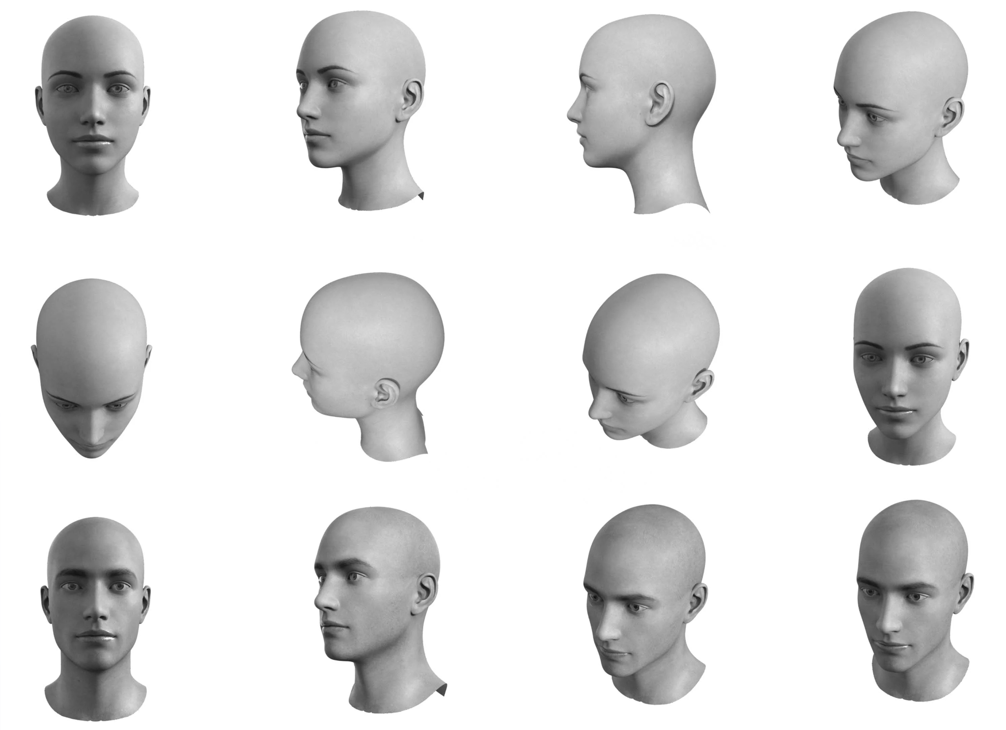 Head Template Procreate Brushes GraphicsBunker Head Template Procreate Brushes GraphicsBunker