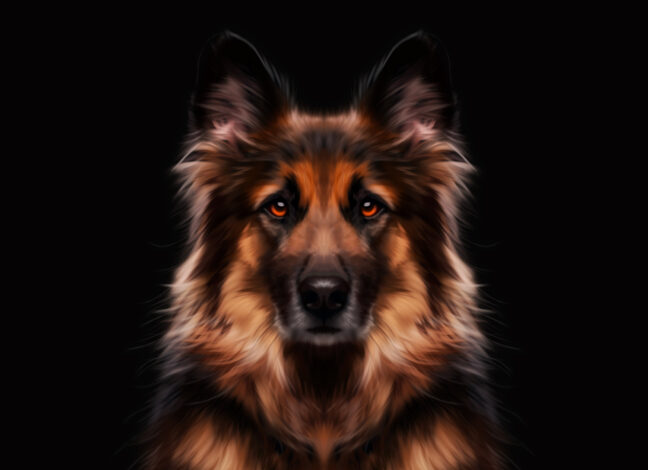 Default Smudge Procreate Brushes