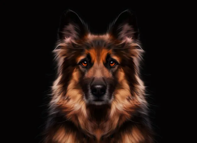Default Smudge Procreate Brushes