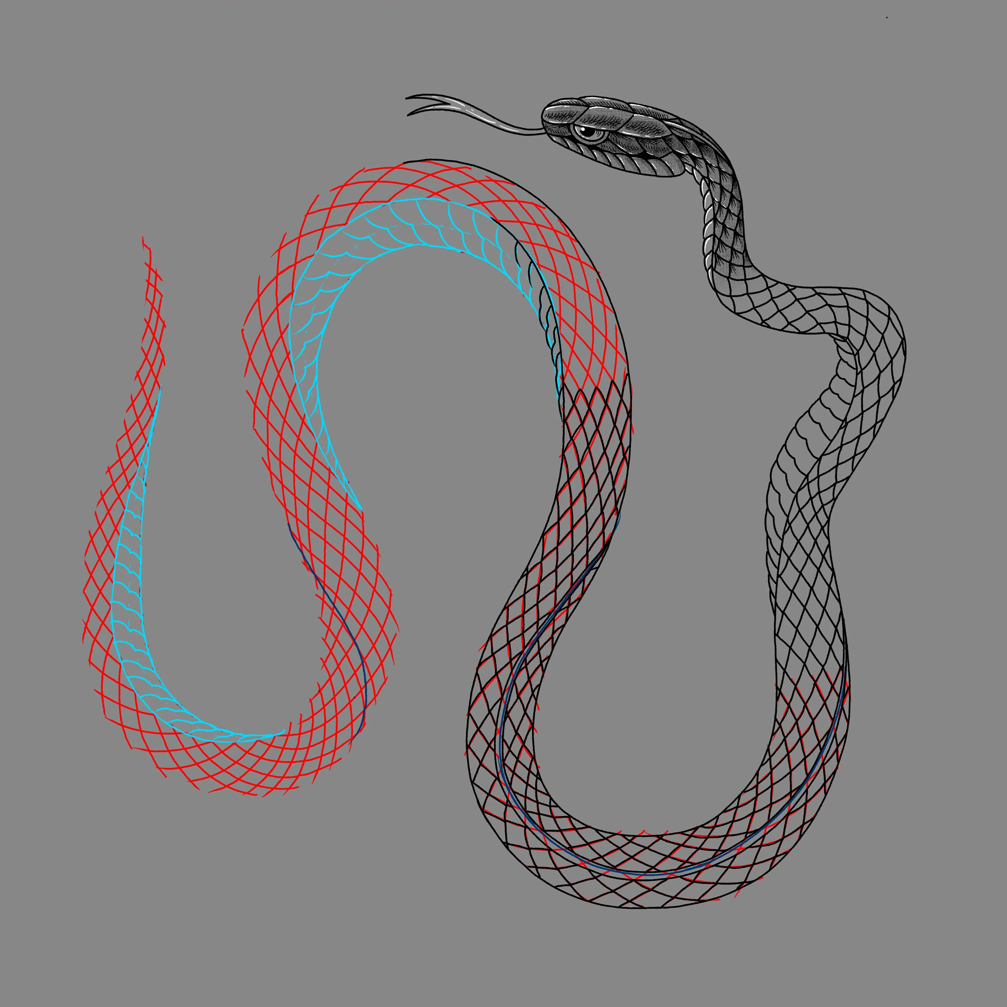 Snake Scale Procreate Brush GraphicsBunker