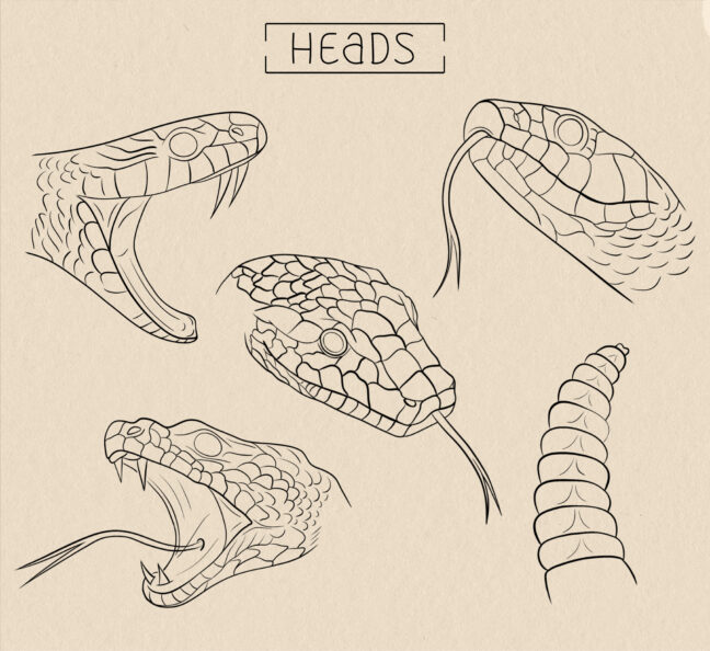 Snake Tattoo Brushes Procreate