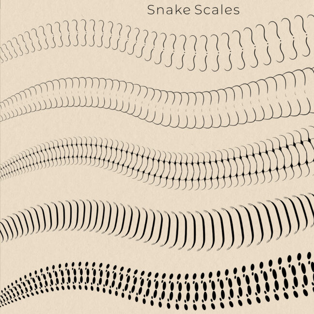 Snake Tattoo Brushes Procreate