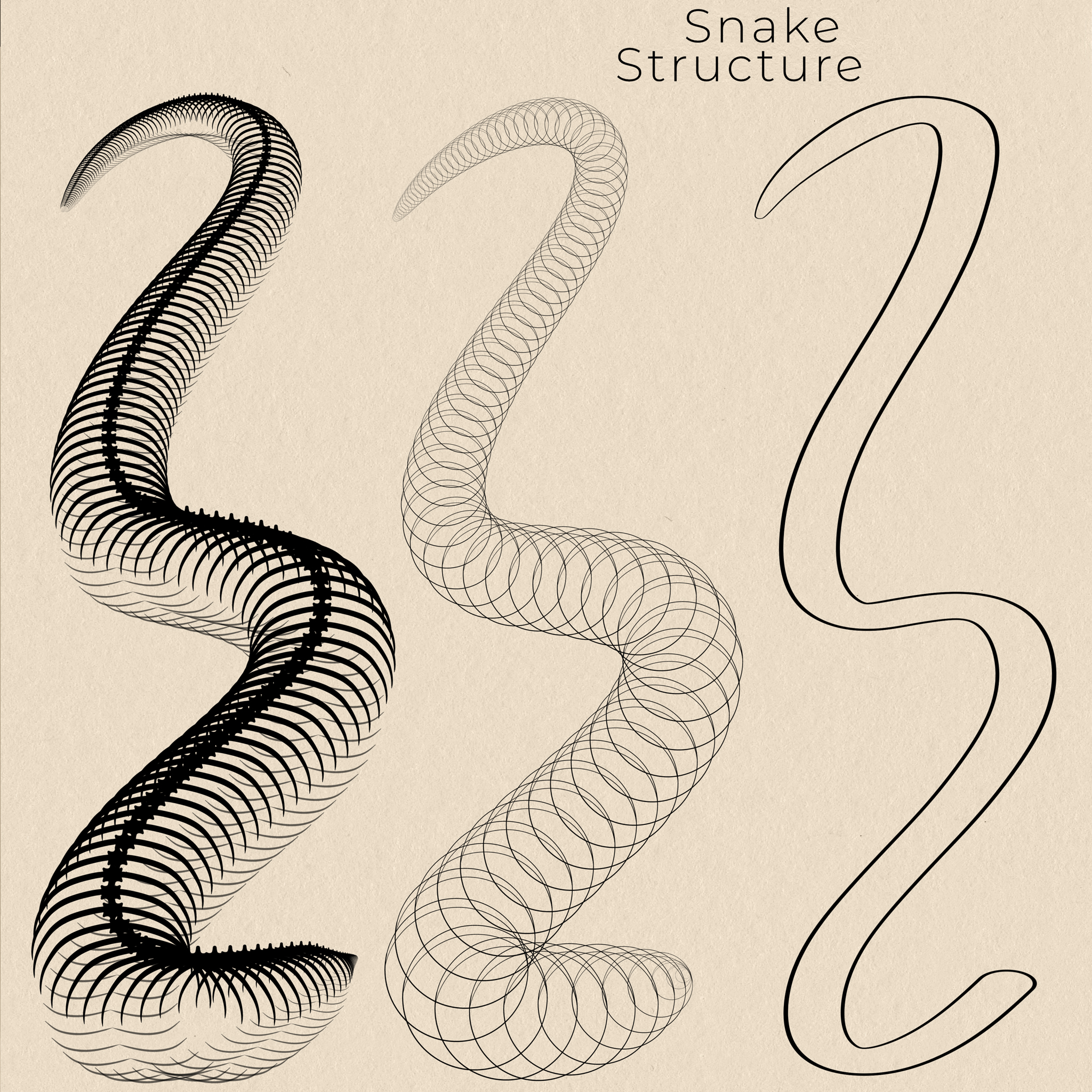 Snake Tattoo Brushes Procreate GraphicsBunker