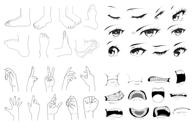 anatomy procreate stamps 5 Essential Anatomy Procreate Stamps